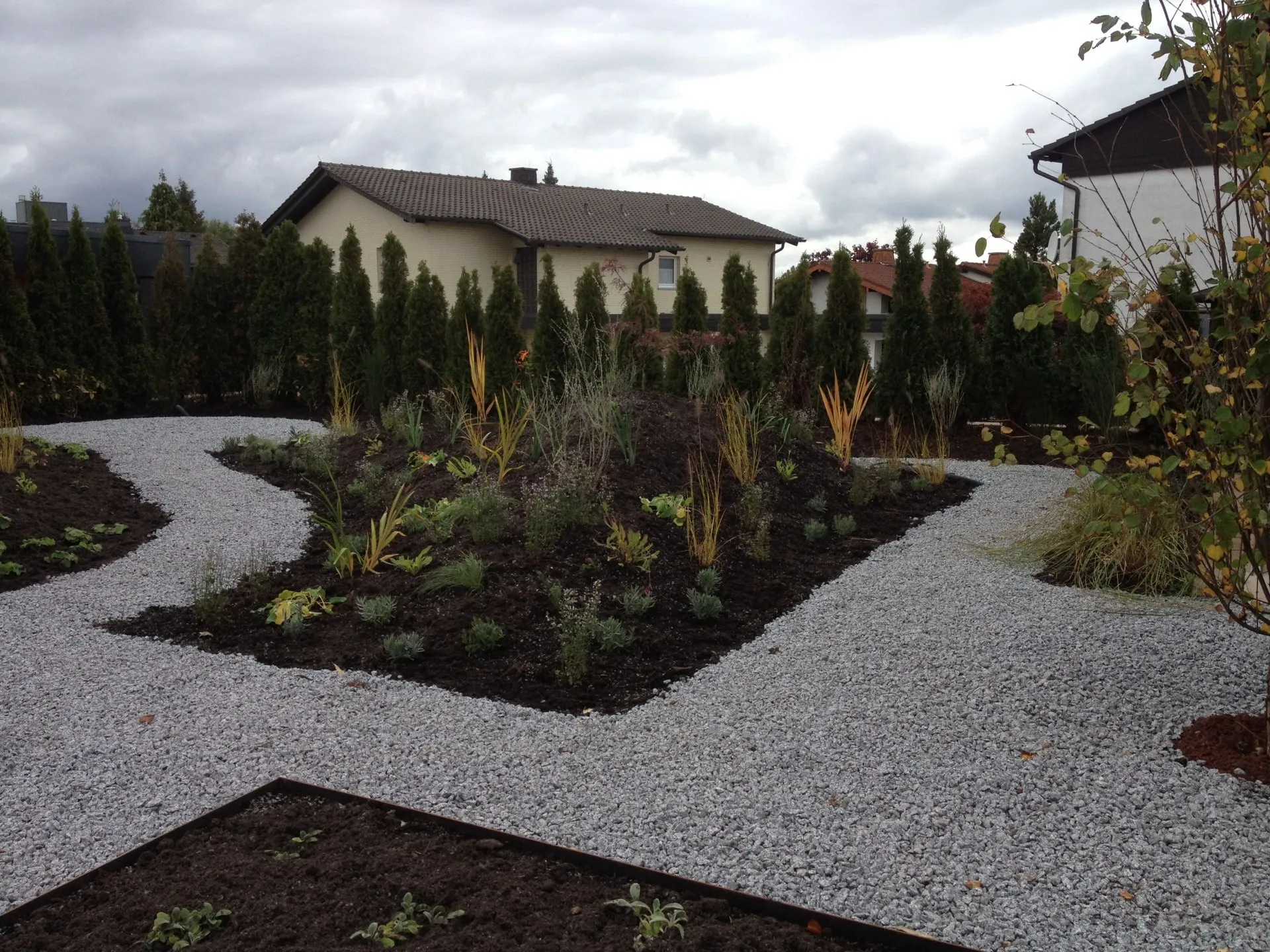 Pflanzen, Bild 11