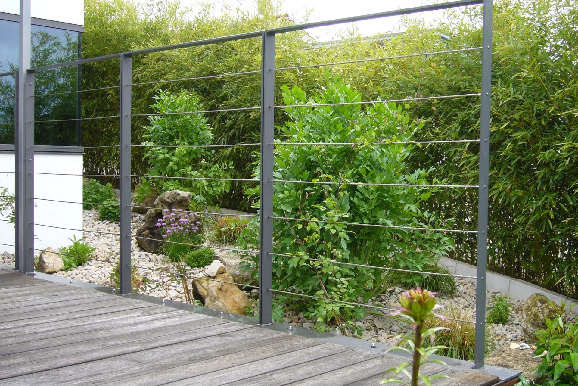 Pflanzen, Bild 13