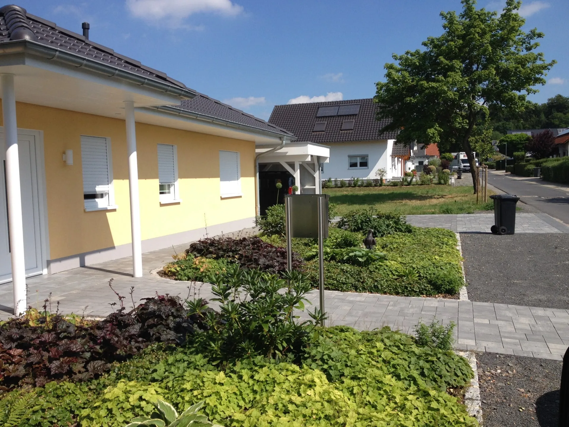 Pflanzen, Bild 3