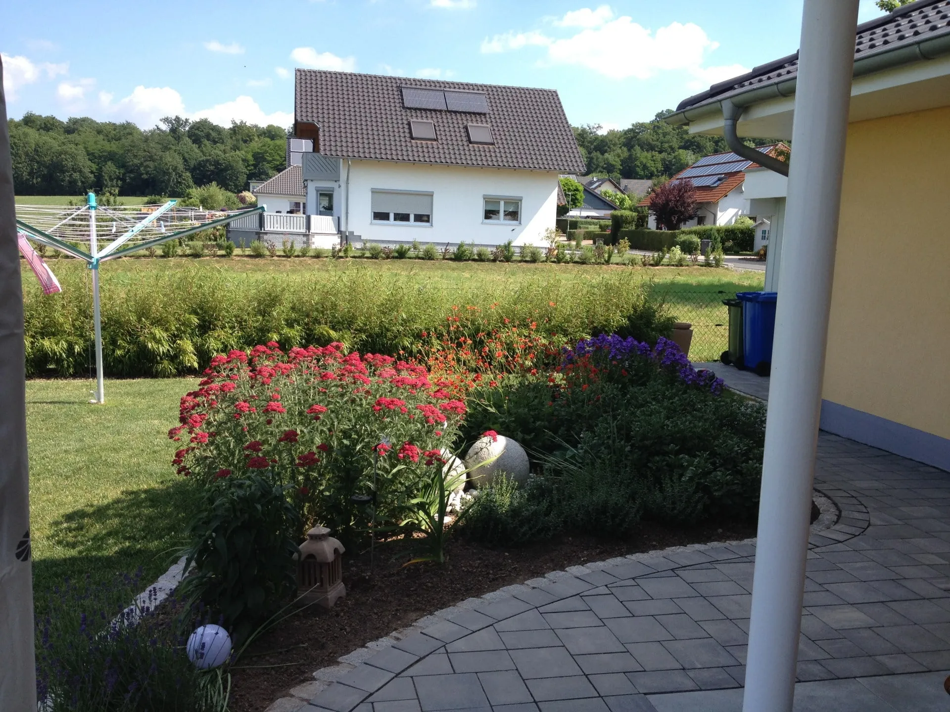 Pflanzen, Bild 4