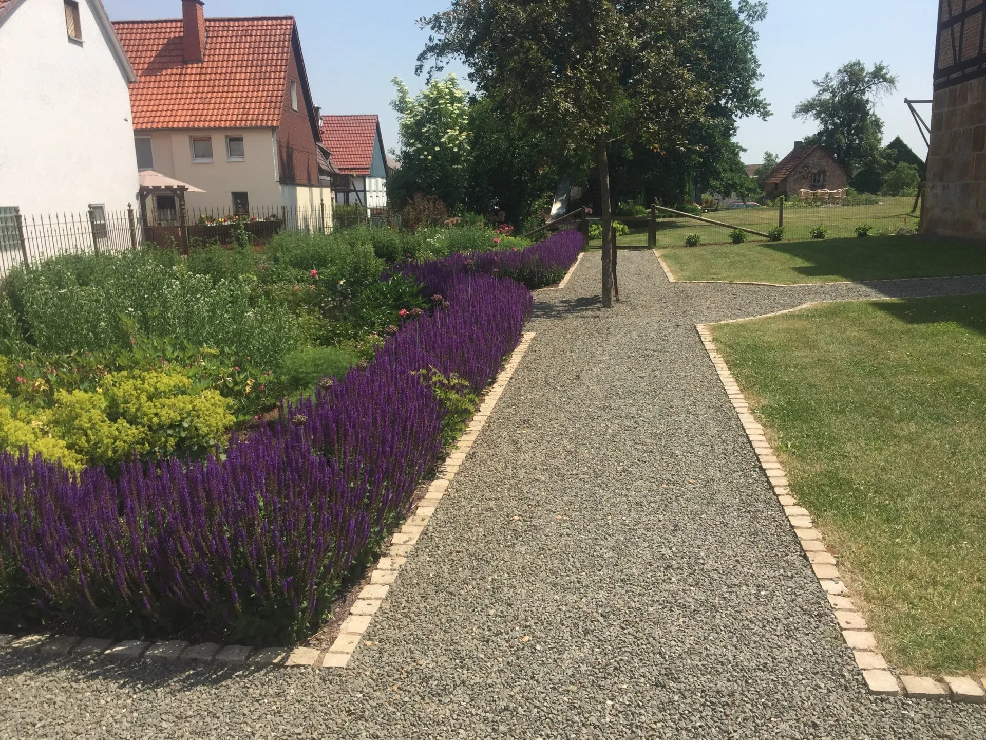 Pflanzen, Bild 9