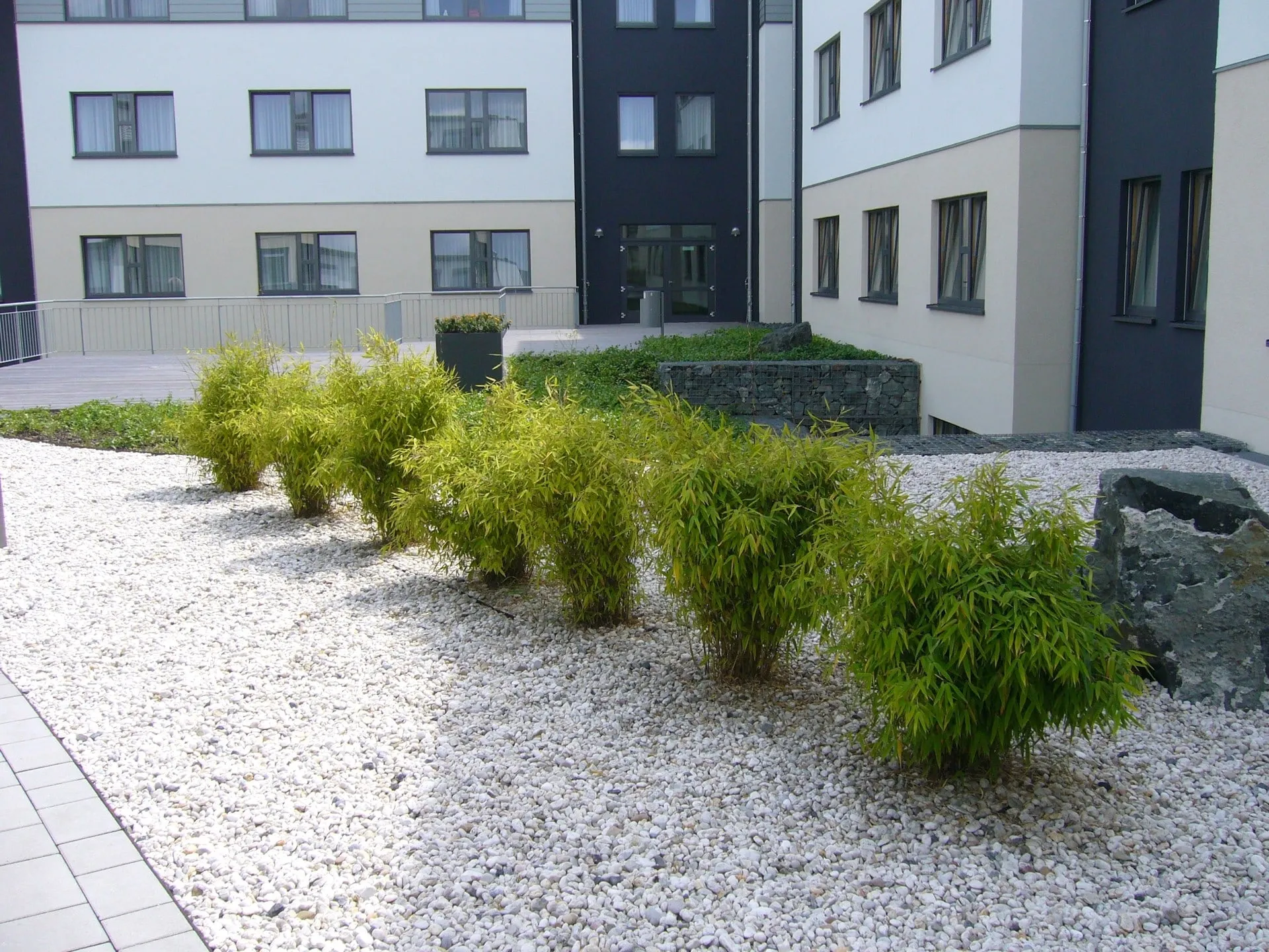 Schön Klinik Bad Arolsen