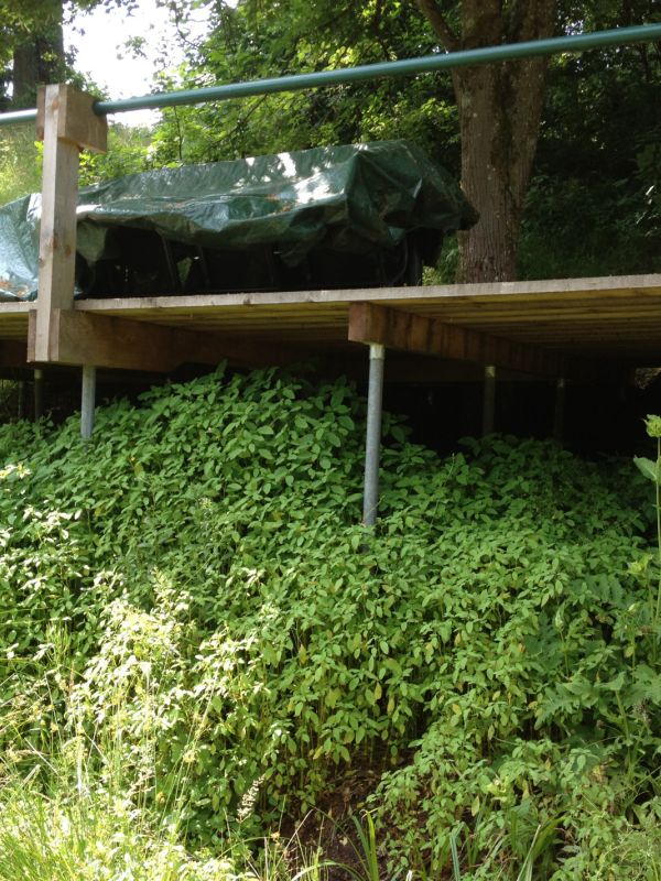 Terrasse5.JPG