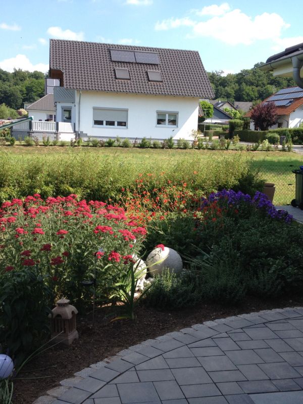 Bepflanzung4.jpg
